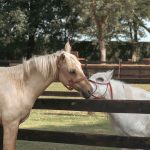 Actives-gallery-08