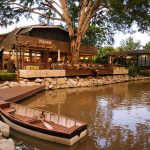 dining-gallery-19