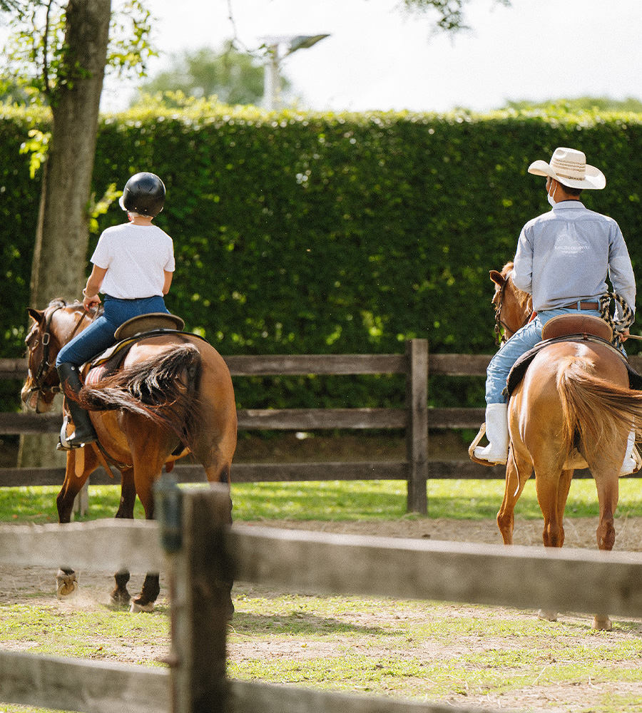 horse-club-01