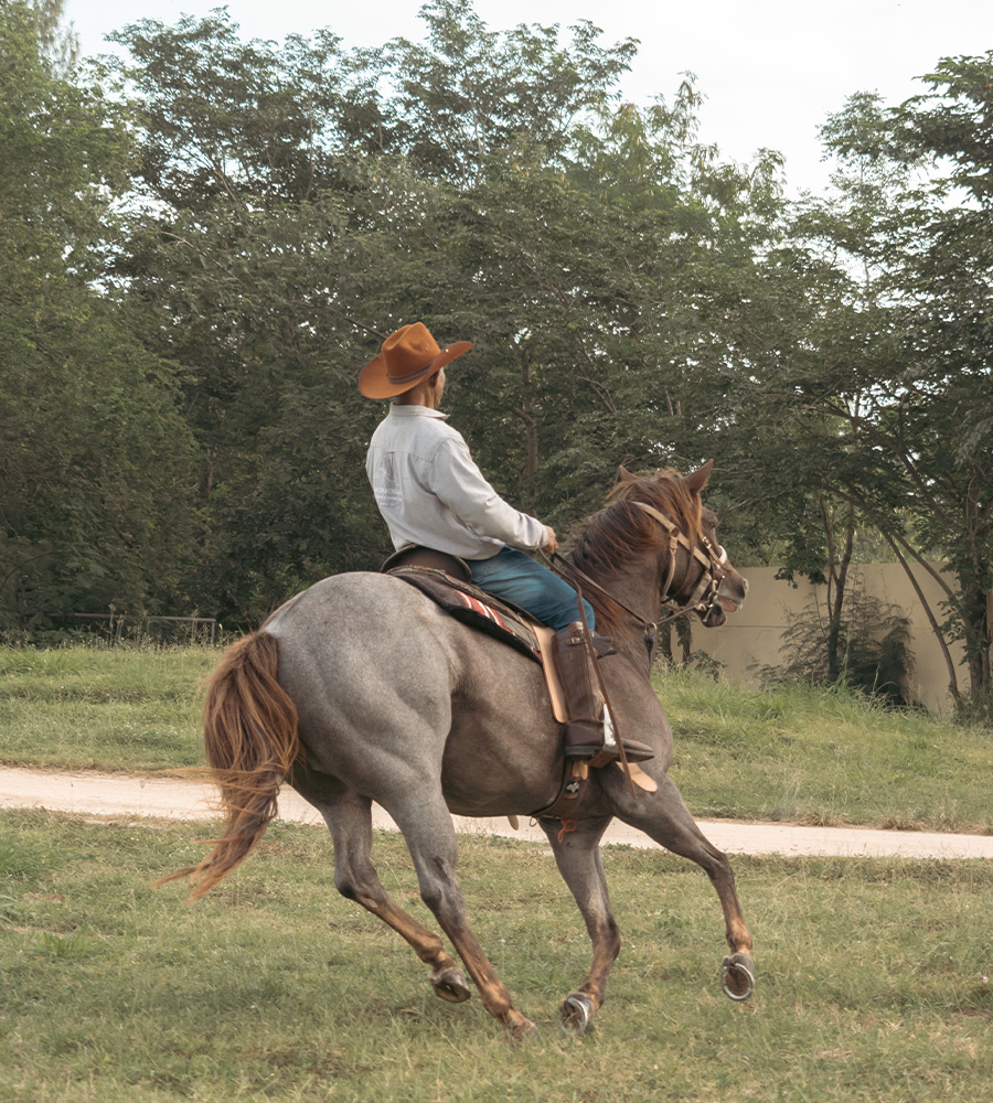 horse-club-06